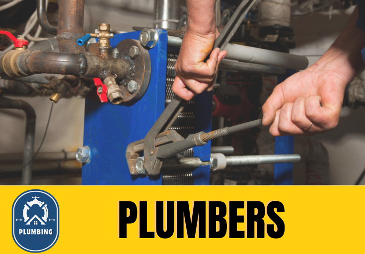  plumber Singleton